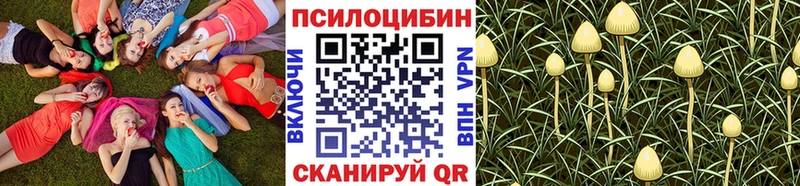 Псилоцибиновые грибы Psilocybine cubensis  купить   Оса 